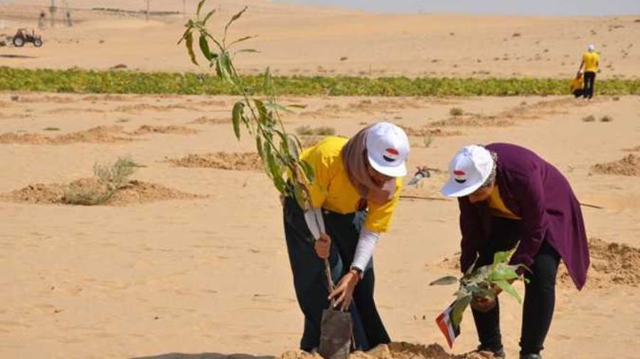 توزيع 200 شجرة بالمجان