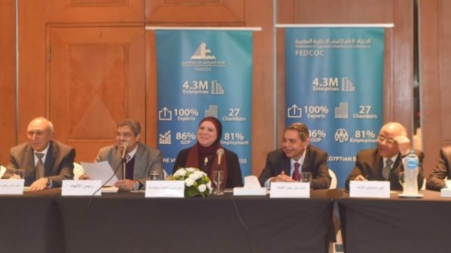 نيفين جامع وزيرة التجارة والصناعة