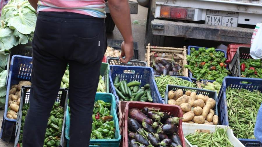 الزراعةتدفع بمنافذ متنقلة لبيع منتجاتها بأسعار مخفضة بالمحاف