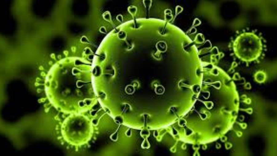 50 ألف وفاة بفيروس كورونا حول العالم.. وعدد الإصابات يقترب م