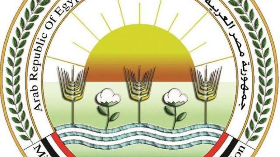 الزراعة: حصاد 893 ألف فدان قمح وتوريد 579 ألف طن
