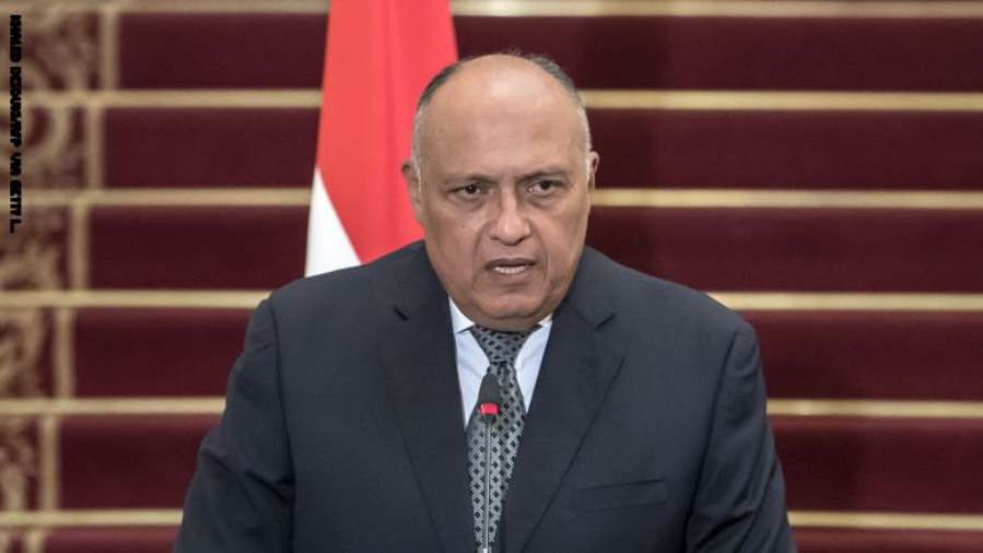 سامح شكري يتلقى اتصالا هاتفيا من وزيرة خارجية جنوب أفريقيا