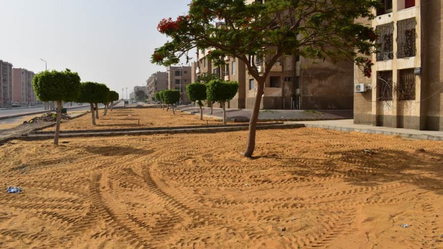 جهاز الشروق يسند زراعة وتجميل 93 فدانا بمناطق إسكان الشباب خ