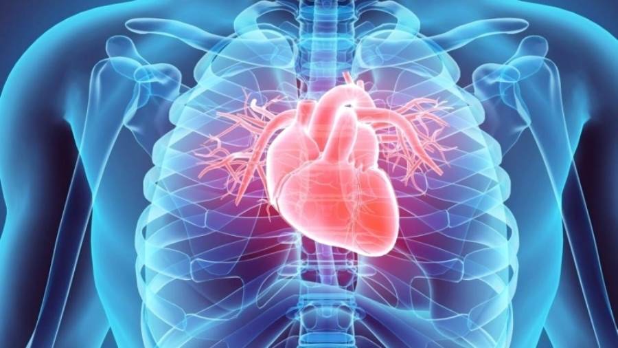 دراسة جديدة: كوروناقد يصيب القلب أيضا