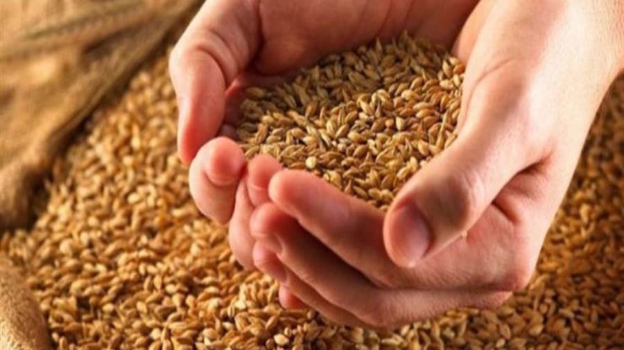 هيئة السلع التموينيةتتعاقد على شراء 410 آلاف طن قمح روسي وأو