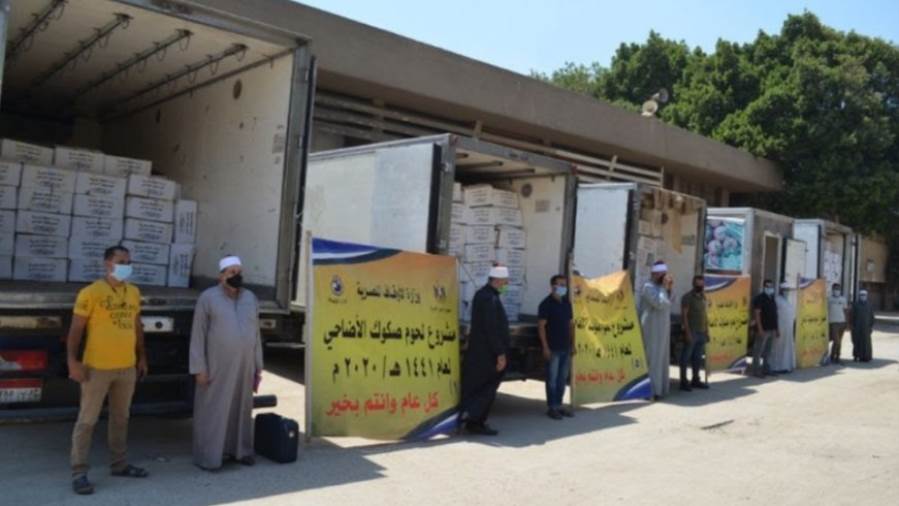 بالفيديو.. انطلاق سيارات توزيع لحوم الأضاحي إلى محافظات القا بالفيديو.. انطلاق سيارات توزيع لحوم الأضاحي إلى محافظات القا
