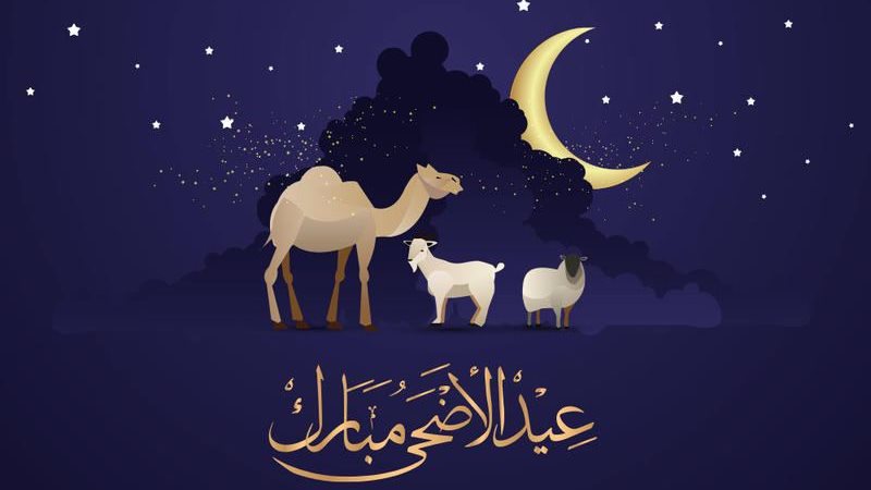 استطلاع عيد الأضحى