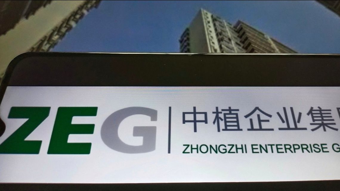 شركة Zhongzhi Enterprise الصينية