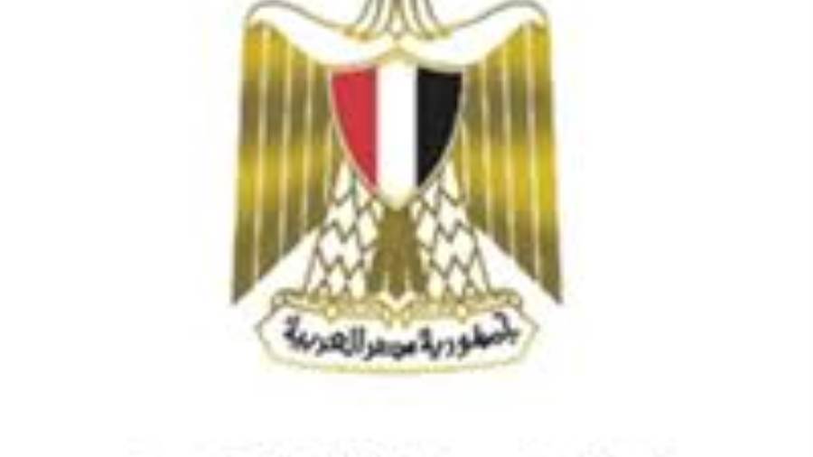 تطوير شبكة الكهرباء بمحافظة الوادى الجديد بـ 5 ملايين جنيه خ