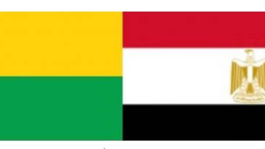 بعد تلقيه اتصالا هاتفيا.. السيسي يبحث مع رئيس غينيا بيساو تع