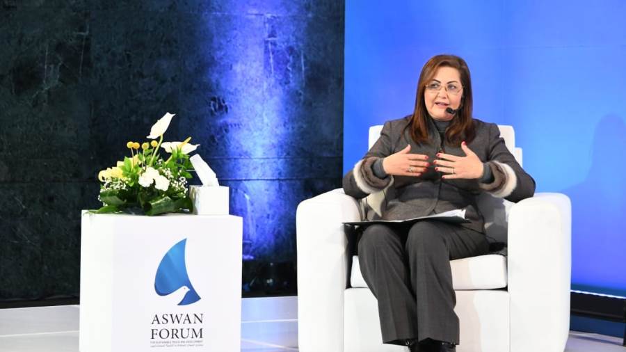 وزيرة التخطيط