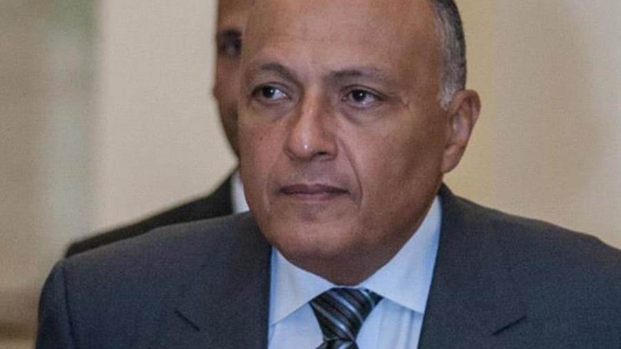 شكري يعقد غدا مباحثات مع وزير خارجية غينيا كوناكرى