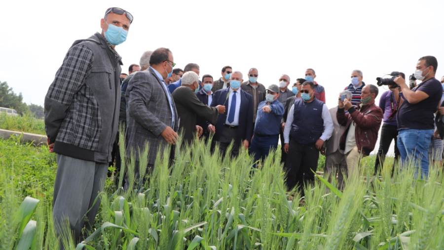 وزير الزراعة: انطلاق موسم حصاد القمح والمحصول يبشر بالخير هذ