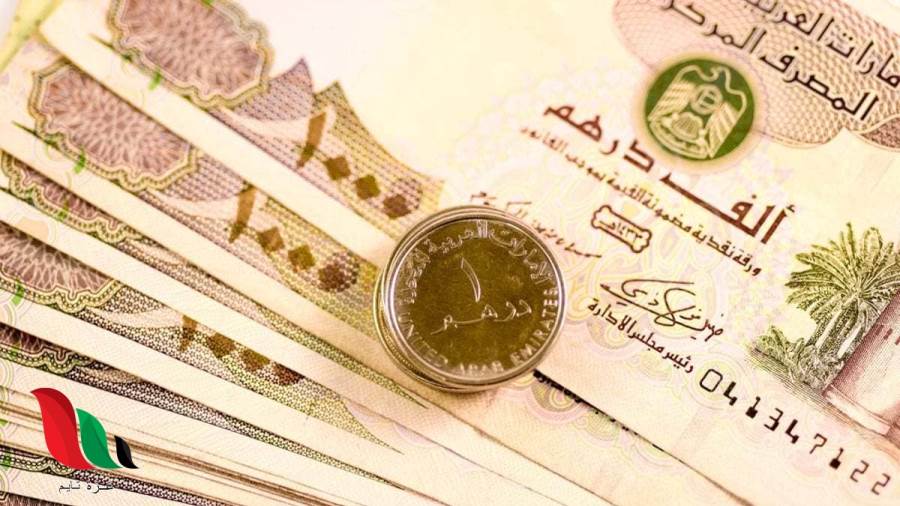 سعر الدرهم الإماراتى اليوم