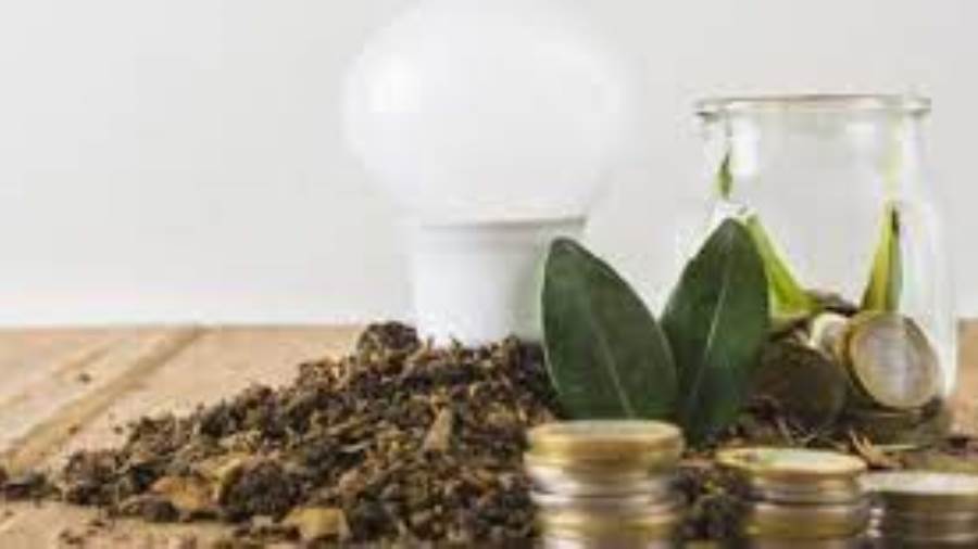 الاقتصاد الاخضر