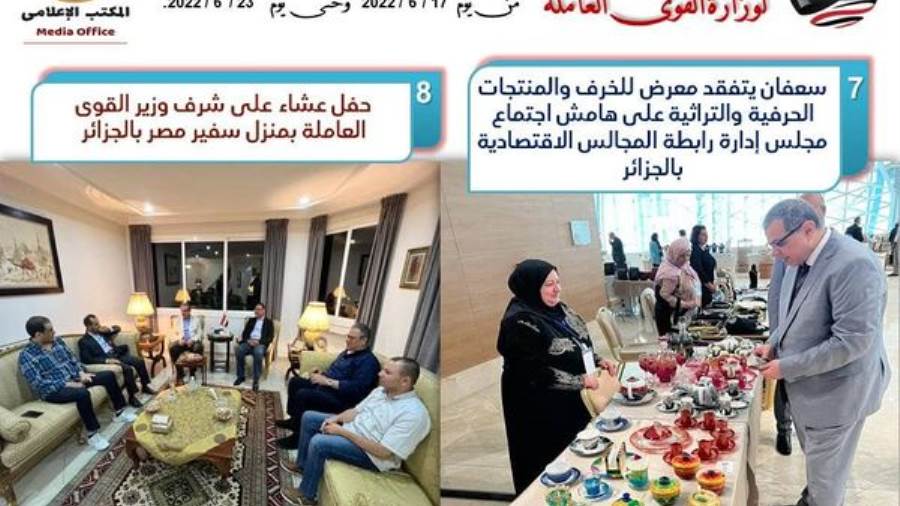 محمد سعفان وزير القوى العاملة