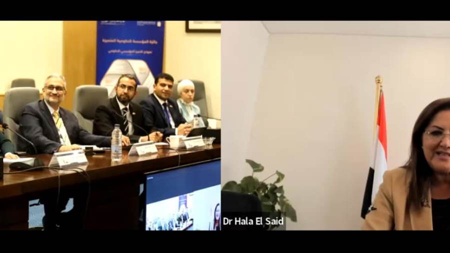 وزيرة التخطيط