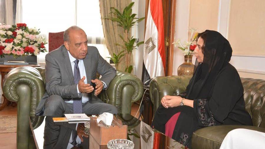 محمود عصمت