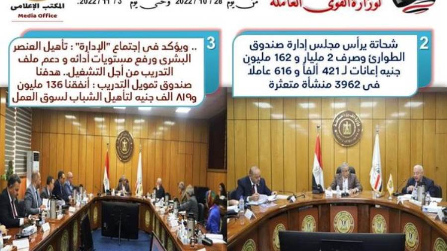 وزير القوى العاملة