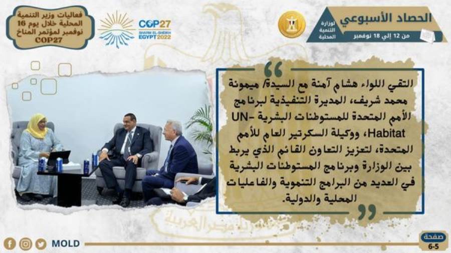 التنمية المحلية