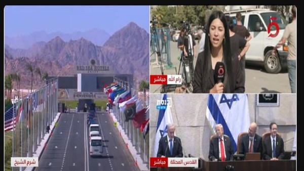  السيسى