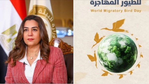 الدكتورة منال عوض