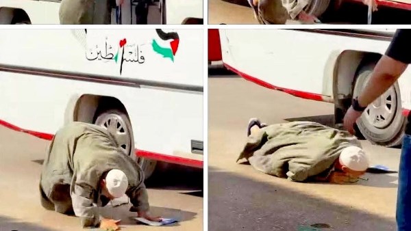 سقوط المسن سقوط المسن