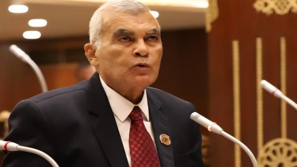 المستشار عصام الدين فريد
