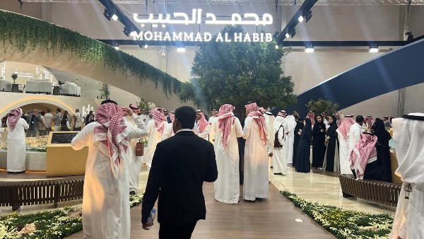 محمد الحبيب العقارية