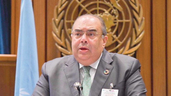 محمود محيي الدين، مبعوث الأمين العام للأمم المتحدة