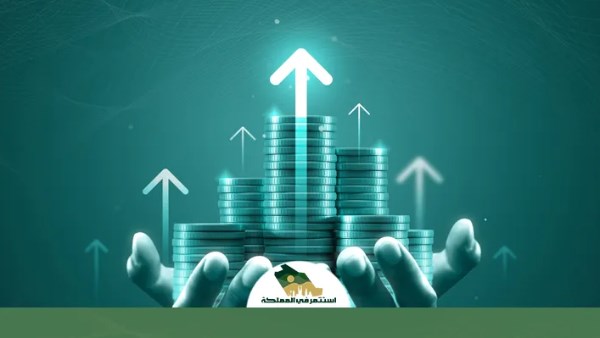 السعودية تعلن طرح 16 فرصة استثمارية متنوعة في نجران