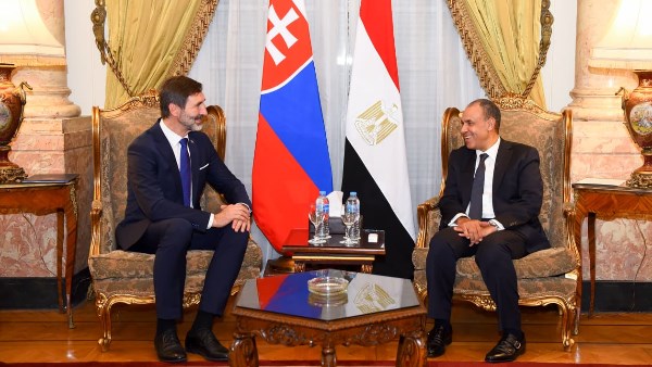 د. بدر عبد العاطي