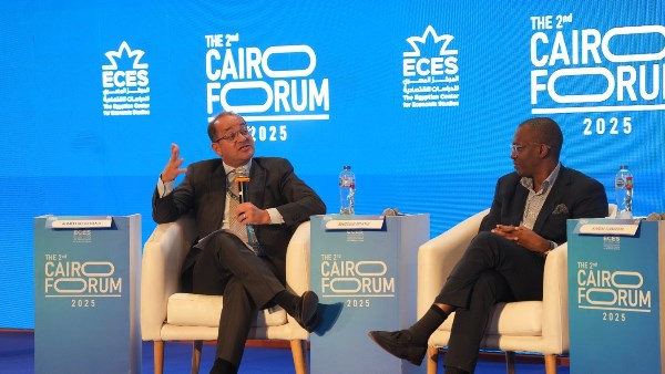 وزير المالية