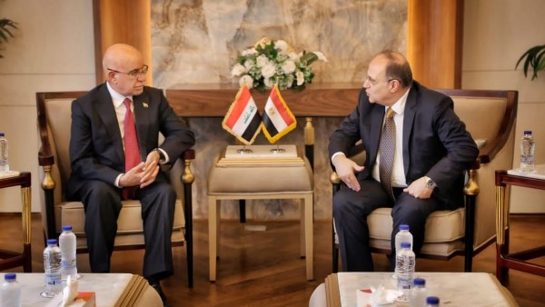 الدكتور علي الغمراوي