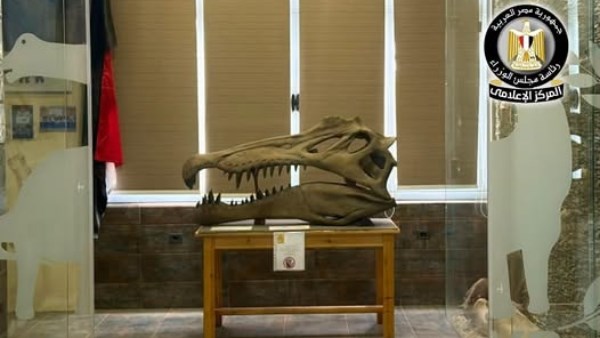 تمساح الوادي