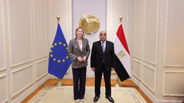 المستشار  عدنان فنجري