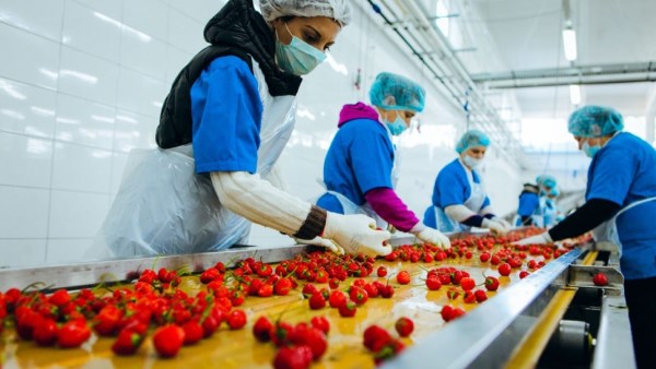 الصناعات الغذائية