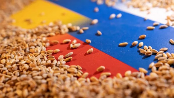 تراجع صادرات الحبوب الأوكرانية 16.7% في نوفمبر