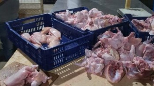 بعد ضبط كميات كبيرة فاسدة.. "الزراعة" تعلن غلق وتشميع محلاً غير مرخص للدواجن بالجيزة 