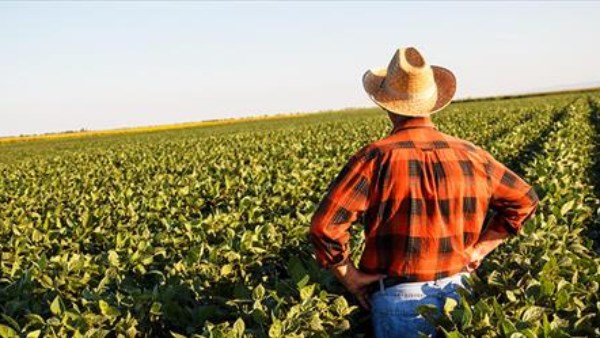 ترامب يخصص 12 مليار دولار لدعم المزارعين الأمريكيين