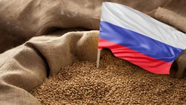 مسؤول: الطلب على الحبوب الروسية مستمر رغم انخفاض الأسعار العالمية