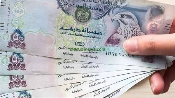 سعر الدرهم الإماراتي أمام الجنيه المصري اليوم الأربعاء 31 ديسمبر 2025