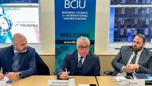 وليد جمال الدين