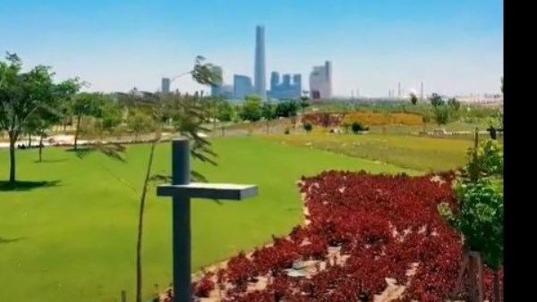 البناء الأخضر