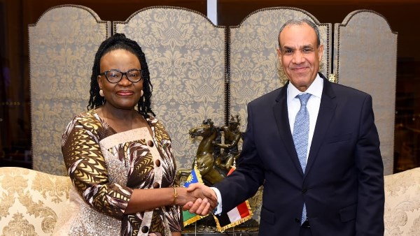 وزير الخارجية 