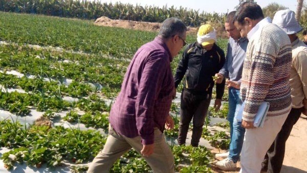 وزارة الزراعة