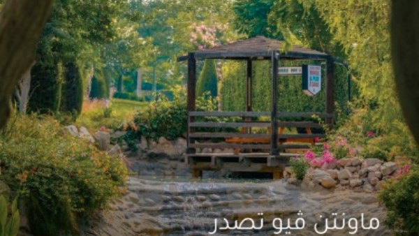 ماونتن ڤيو ماونتن ڤيو
