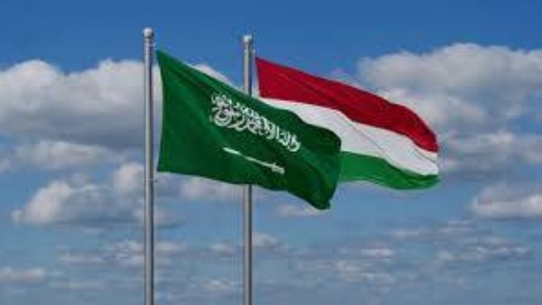 فتح آفاق جديدة.. 35 شركة سعودية تسعى إلى الاستثمار في السوق المَجَرية فتح آفاق جديدة.. 35 شركة سعودية تسعى إلى الاستثمار في السوق المَجَرية