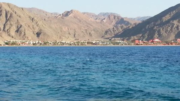 جانب من البحر الأحمر جانب من البحر الأحمر