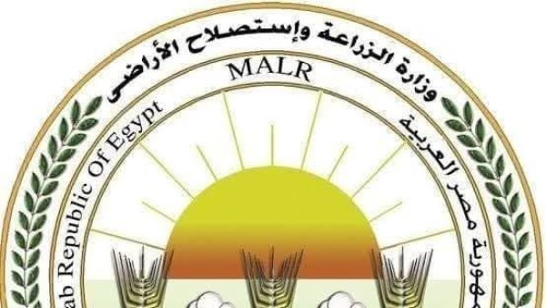 «الزراعة»: المجازر الحكومية تستقبل 7900 أضحية في اليوم الثالث للعيد «الزراعة»: المجازر الحكومية تستقبل 7900 أضحية في اليوم الثالث للعيد